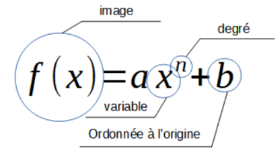 Fonction : termes